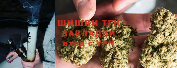 крисы Аркадак